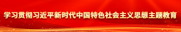 狂操18美逼学习贯彻习近平新时代中国特色社会主义思想主题教育